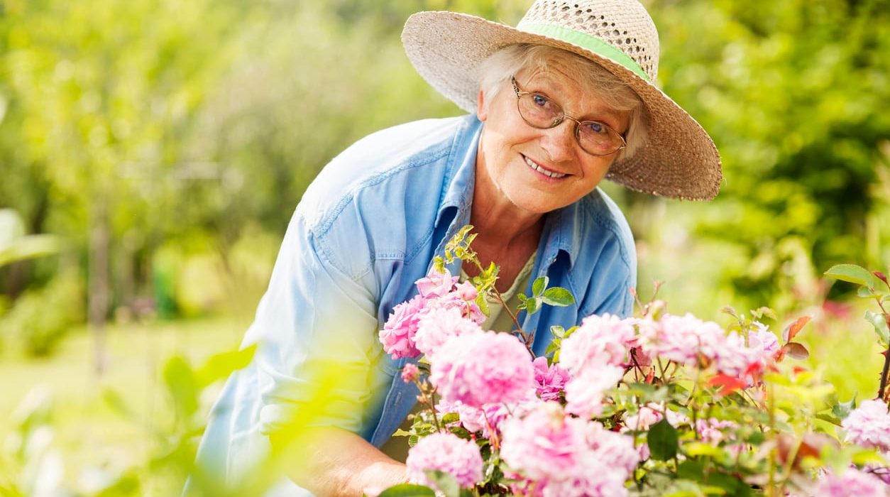 Summer Activities for Older Adults - liveinsolutions.co.uk